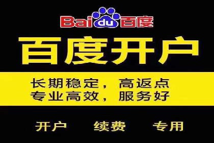 百度竞价推广案例：打造品牌影响力